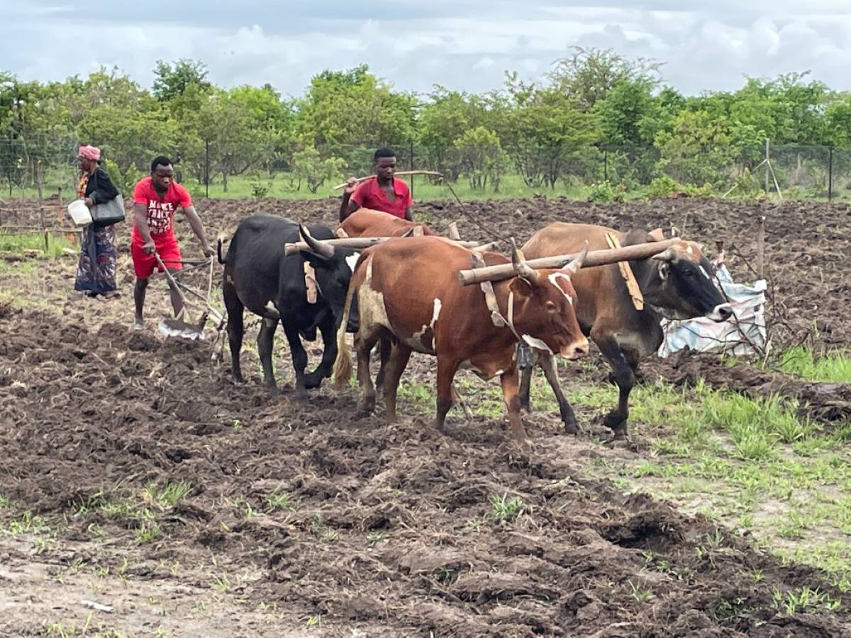 Ponovo ste dokazali svoju veličinu i nesebičnost te spremnost odazvati se pozivu u pomoć!