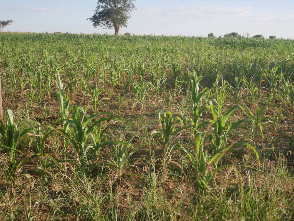 Bit ce vode za naše župljane